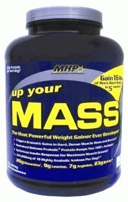 1490878833 Up Your Mass 2