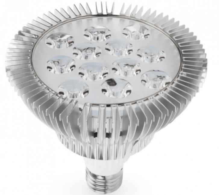 6 Fitolampy Flora Lamps E27