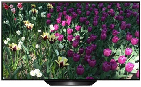 LG OLED55B9P Min