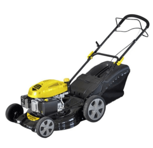 Champion Lm5131.dTQ3a